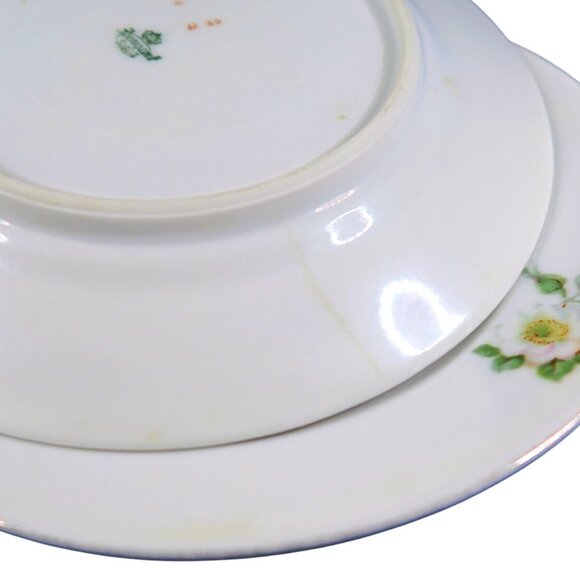Koenigszelt Silesia Germany Wild Roses Set of 2 Antique 1920s Dessert Plates - Picture 6 of 6